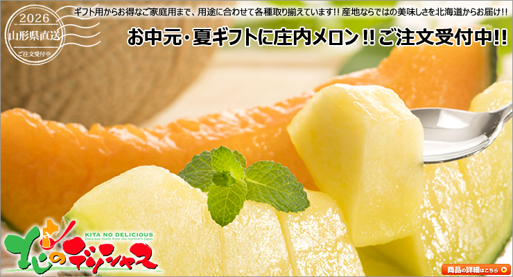 山形県産 庄内メロン