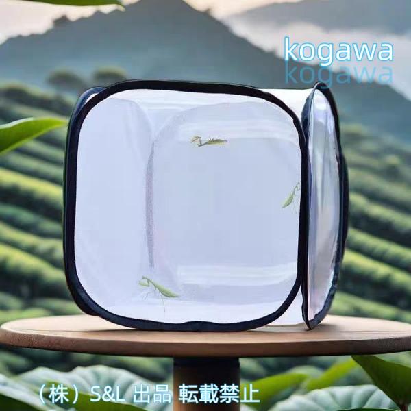 昆虫飼育箱 透明 折りたたみ式 昆虫ケージ メッシュ昆虫ケース 昆虫 かご 高通気性ネット標本S＆L採集 昆虫観察 カマキリ/蝶/爬虫類 飼育