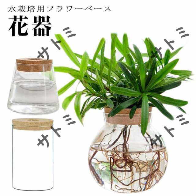 フラワーベース 水栽培 ガラスベース 容器 花瓶 水耕栽培 ミニ 観葉植物 ポット おしゃれ 鉢 インテリア 球根 花 枝物 観葉植物 多肉植物 花器 植木鉢 お祝い プレゼント 開店祝い 送料無料 