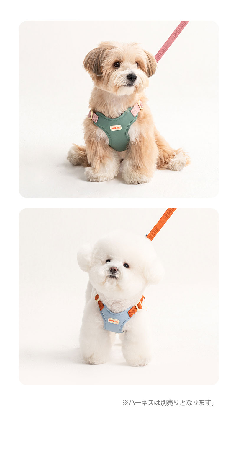 犬 リード 高耐久 ウェビングベルト 丈夫