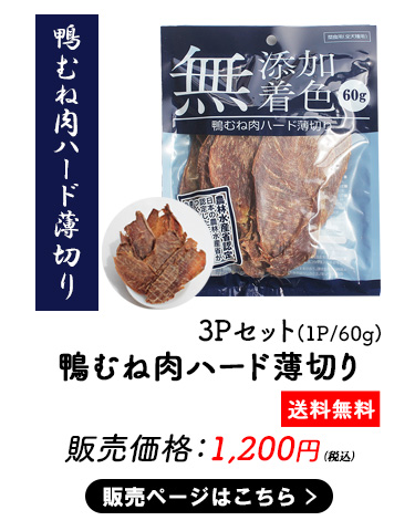 �y�b�g�����