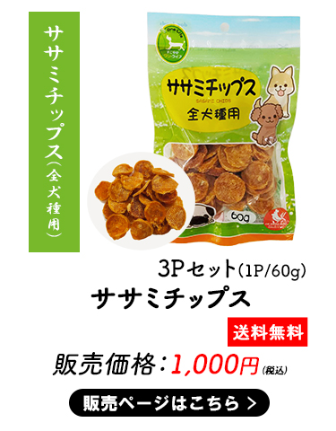 �y�b�g�����