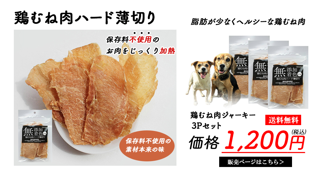 �y�b�g�����