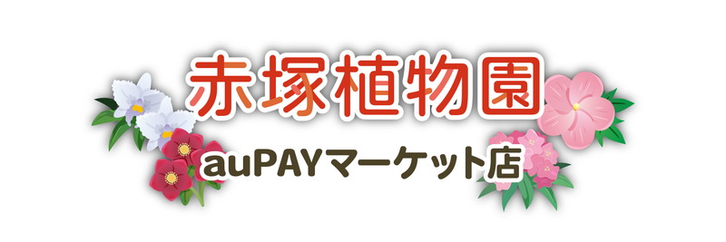 赤塚植物園 au PAY マーケット店